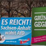 Højrefløjspartiet AfD fik 24 procent af stemmerne ved delstatsvalget i Sachsen-Anhalt i marts. Partiet har nu kurs mod Forbundsdagen. Højrefløjspartiet AfD fik 24 procent af stemmerne ved delstatsvalget i Sachsen-Anhalt i marts. Partiet har nu kurs mod Forbundsdagen.